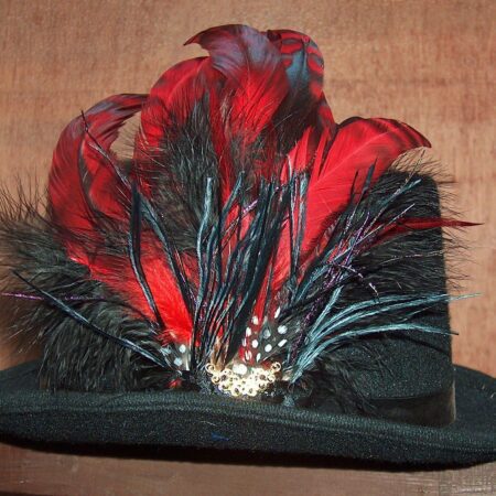 Red and black feather hat